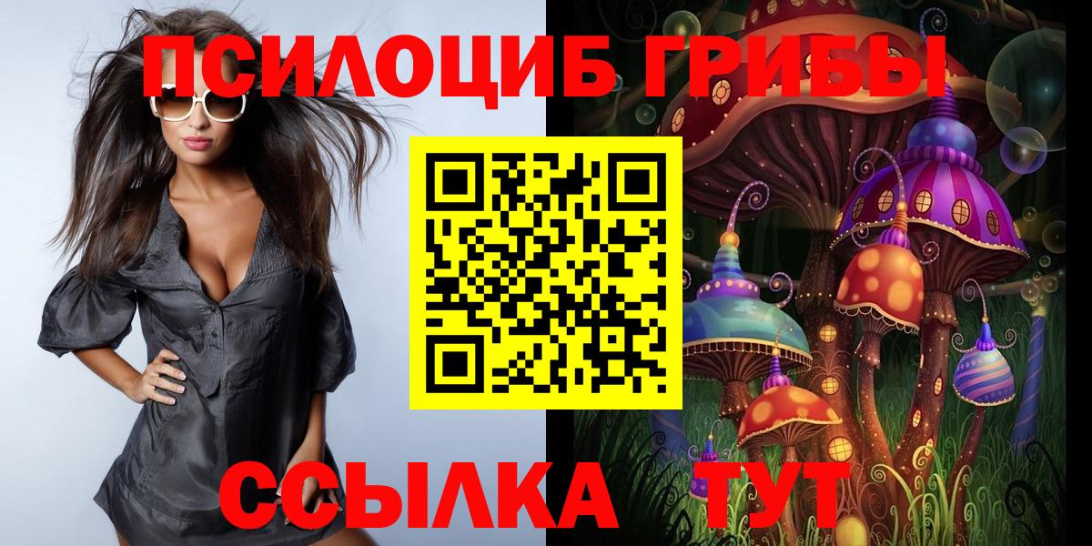 Псилоцибиновые грибы Magic Shrooms  Вход с VPN  Галлюциногенные грибы прущие грибы  наркота  Вязьма 